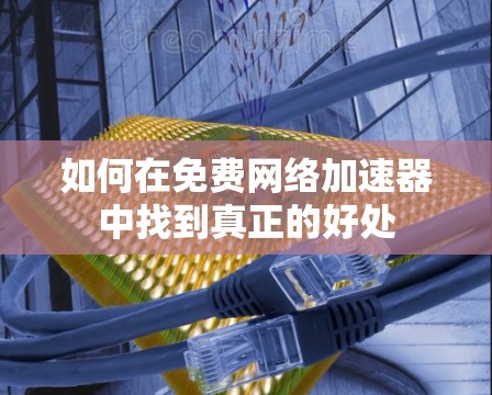 如何在免费网络加速器中找到真正的好处 如何在免费网络加速器中找到真正的好处