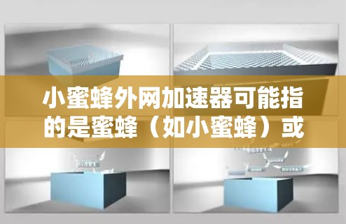 小蜜蜂外网加速器可能指的是蜜蜂（如小蜜蜂）或外网加速器（如小蜜蜂加速器）以下是一些可能的解释和步骤