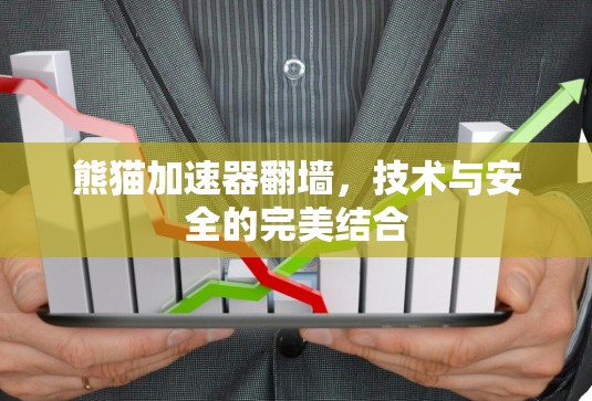 熊猫加速器翻墙，技术与安全的完美结合