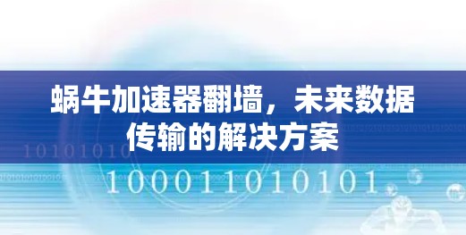 蜗牛加速器翻墙，未来数据传输的解决方案