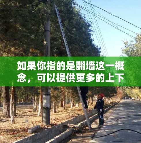 如果你指的是翻墙这一概念，可以提供更多的上下文，以便更好地回答你的问题。例如，你是否在询问是否可以在某个应用中进行翻墙操作，或者翻墙是否与安极加速器的功能相关？