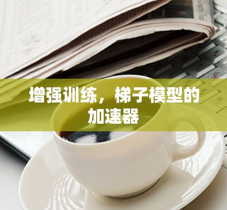 增强训练，梯子模型的加速器