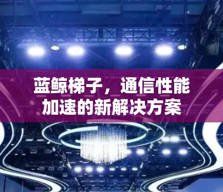 蓝鲸梯子，通信性能加速的新解决方案