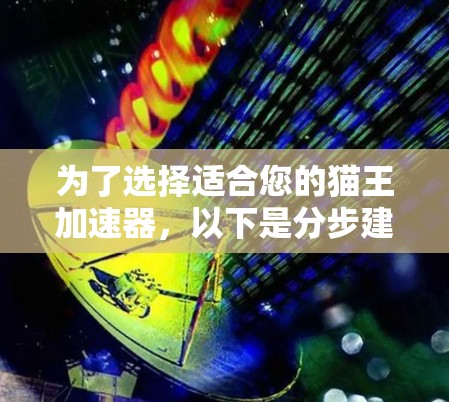 为了选择适合您的猫王加速器，以下是分步建议