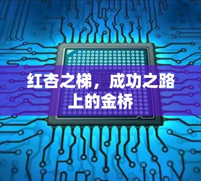 红杏之梯，成功之路上的金桥