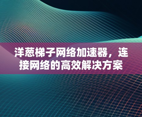 洋葱梯子网络加速器,连接网络的高效解决方案 洋葱梯子网络加速器,连接网络的高效解决方案