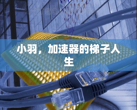 小羽，加速器的梯子人生