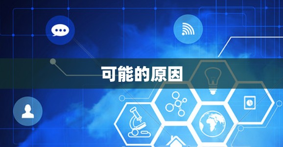 可能的原因