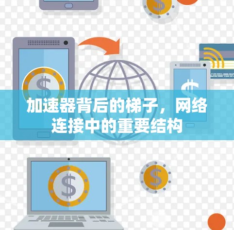 加速器背后的梯子，网络连接中的重要结构