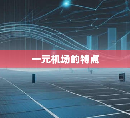 一元机场的特点