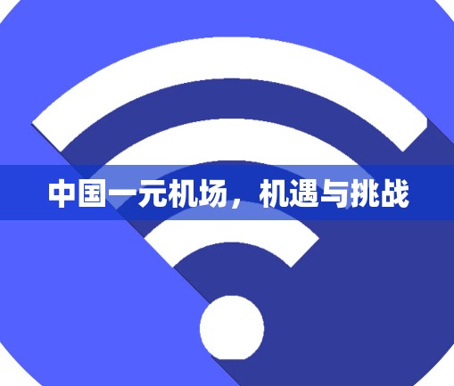 中国一元机场，机遇与挑战