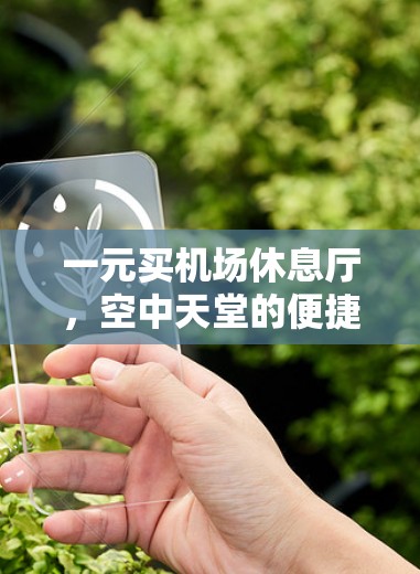 一元买机场休息厅，空中天堂的便捷服务