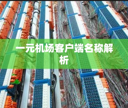 一元机场客户端名称解析