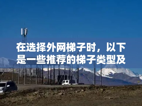 在选择外网梯子时，以下是一些推荐的梯子类型及其适用场景
