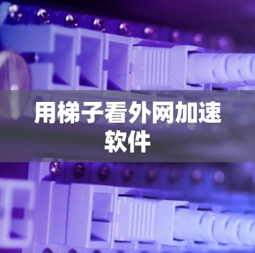 用梯子看外网加速软件