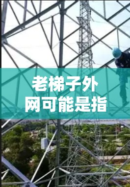 老梯子外网可能是指某个特定的网站或服务的英文名，具体含义取决于上下文。以下是一些可能的解释和建议