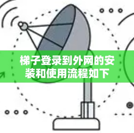 梯子登录到外网的安装和使用流程如下