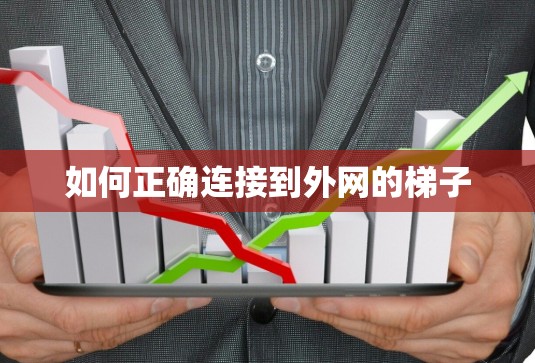 如何正确连接到外网的梯子