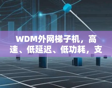 WDM外网梯子机，高速、低延迟、低功耗，支持多用户！