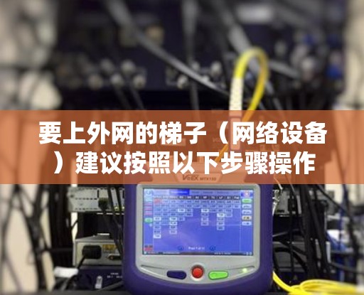 要上外网的梯子（网络设备）建议按照以下步骤操作
