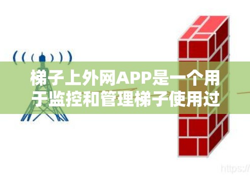 梯子上外网APP是一个用于监控和管理梯子使用过程的软件工具，旨在确保梯子的安全性。以下是对该软件的详细介绍
