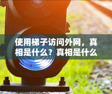 使用梯子访问外网，真相是什么？真相是什么？真相是什么？