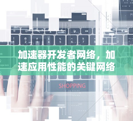 加速器开发者网络，加速应用性能的关键网络架构