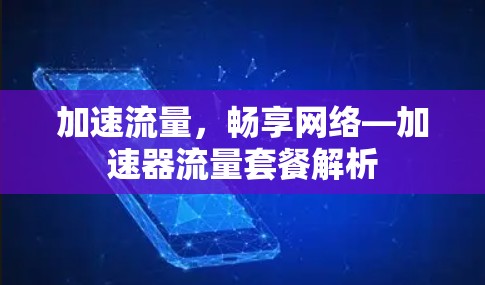 加速流量，畅享网络—加速器流量套餐解析