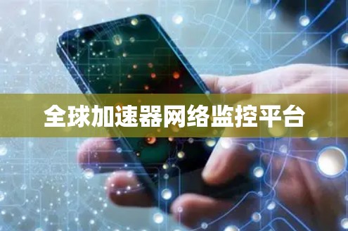 全球加速器网络监控平台