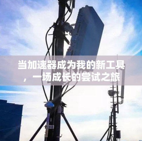 当加速器成为我的新工具，一场成长的尝试之旅