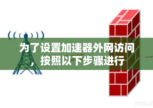 为了设置加速器外网访问，按照以下步骤进行
