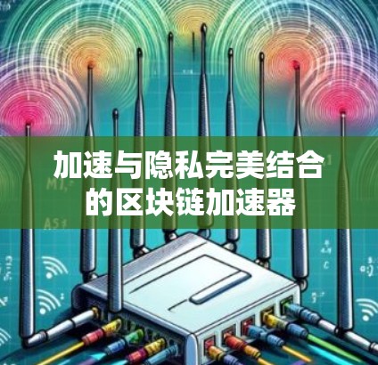 加速与隐私完美结合的区块链加速器