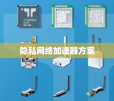 隐私网络加速器方案