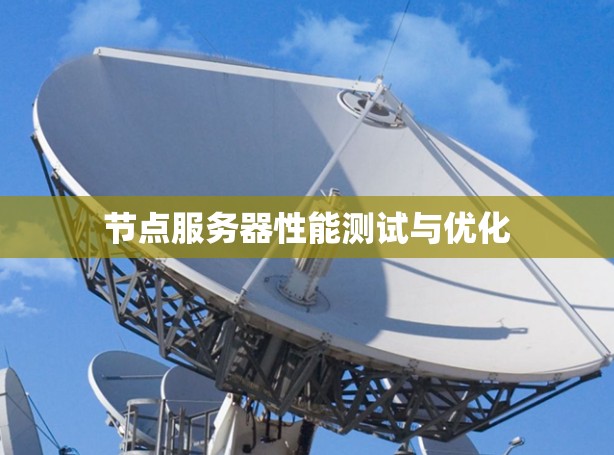 节点服务器性能测试与优化