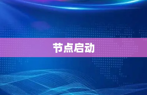 节点启动