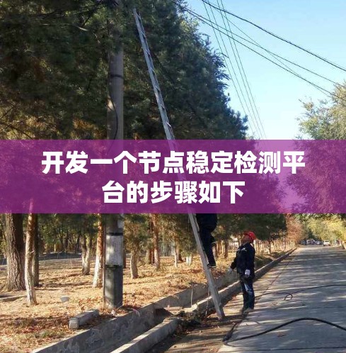 开发一个节点稳定检测平台的步骤如下