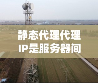 静态代理代理IP是服务器间使用的一个统一的IP地址，用于连接静态IP地址的服务器，以便通过代理服务器处理客户端请求。以下是关于静态代理代理IP的详细说明