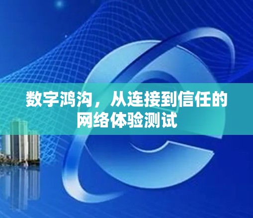 数字鸿沟，从连接到信任的网络体验测试