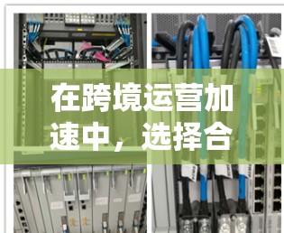 在跨境运营加速中，选择合适的工具能够显著提升效率。以下是一个系统的分析和推荐，帮助您更好地选择适合您的工具