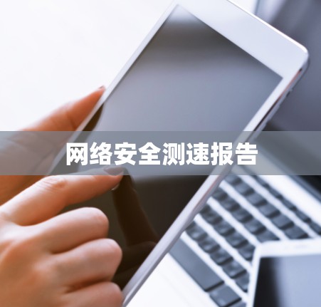 网络安全测速报告