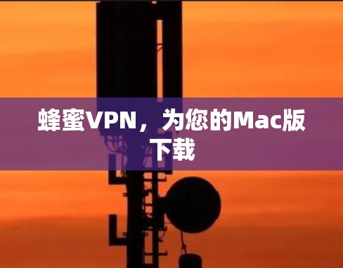 蜂蜜VPN，为您的Mac版下载