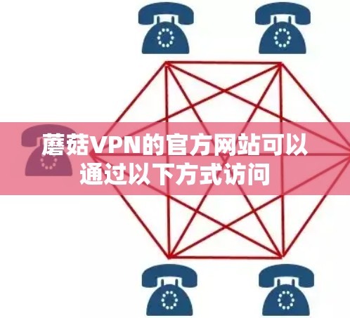 蘑菇VPN的官方网站可以通过以下方式访问