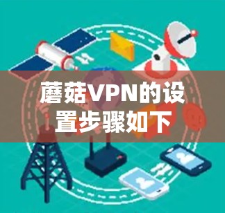 蘑菇VPN的设置步骤如下