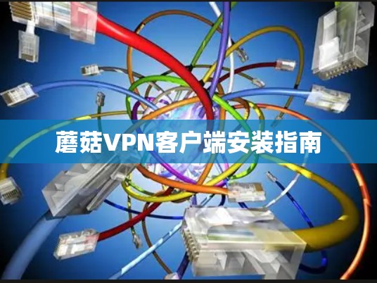 蘑菇VPN客户端安装指南